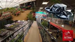 FPV NA FLORICULTURA EM HOLAMBRA-SP com o DJI AVATA