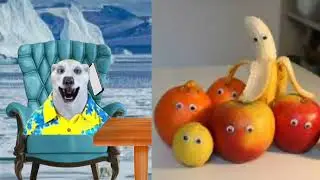ходилки бродилки оценивает фрукты
