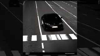 SERGEY SF - Полюси