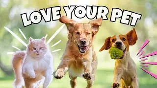 Love Your Pet Today ❤️ 🐶