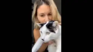 MEMES COMPILATION 4