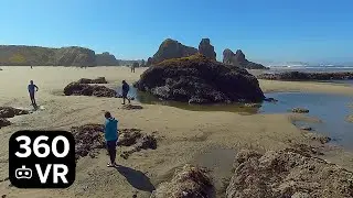 360 8K - Beach at Face Rock, Bandon Oregon