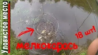 Ловля мелкокарася в Смоленском пруду. Видео с лета 100% КАРАСЯЯЯЯЯ!!!!!