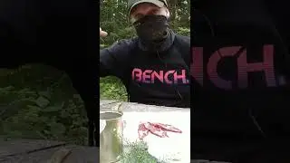 Избавляемся от жажды при выживании в лесу, походе, если заблудился |  