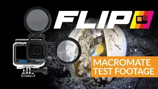 MacroMate Mini | Underwater Macro Lens for GoPro
