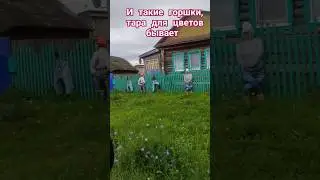 Штаны для цветов 👍#село, #цветы  #штаны