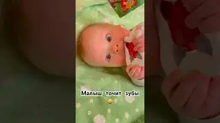 МАЛЫШ ТОЧИТ ЗУБЫ😺 
