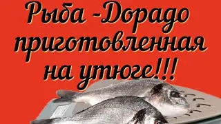 11 марта 2024 г.