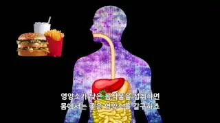 필수영양소의 과학
