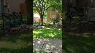 Backyard bug hunt - community wide fire ant baiting project