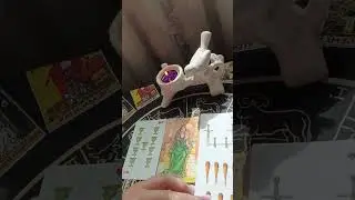 🤔 Что хотел сказать мужчина⁉️😱💞