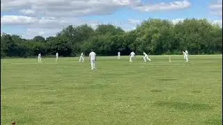 #Cricketshorts