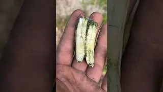 Metal Detecting a Military Hospital!