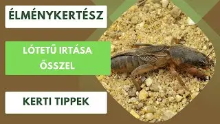 Lótetű irtása ősszel a kertben fonálférgekkel!🪱
