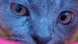 Реклама😡😡