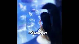 Floki, ЭВСЭ - Ворую алкоголь [SPEED UP]🦋~☆