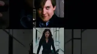 Avengers VS Bully Maguire 
