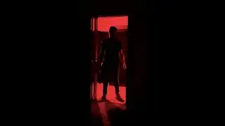 🎁 SORPRESA REVELADA 🎁
