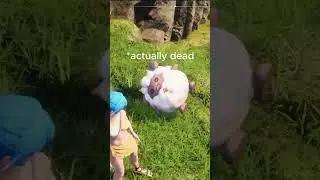 When Will He Wake Up? 