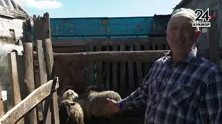 Тиздән мөселманнар өчен мөхим бәйрәмнәрнең берсе Корбан бәйрәмен билгеләп үтәчәкләр.