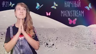 Живые бабочки на Луне