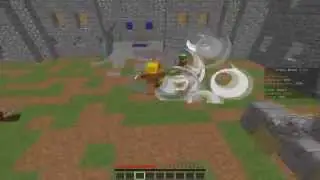 MiniGame Arena Brawl 1#