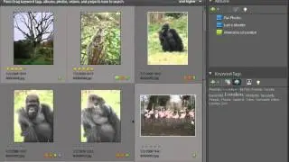 Tag Cloud in Photoshop Elements