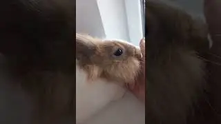 cute