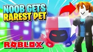 ROBLOX PET SIMULATOR [Codes]: GIVING BACONHAIR MY PARTNER DOMINUS PET!!