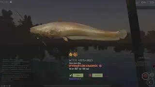 Fisher Online : Франция. Сом альбинос и Угорь.