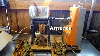 Табакарезка Алтайка, 