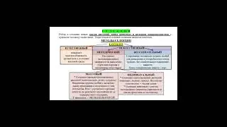 Изменчиаость. Селекция
