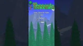 Making Minecraft Steve in Terraria 😄#shorts