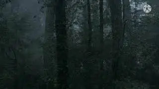 wonder full rain in forest for relax sleep rain sounds for good sleep