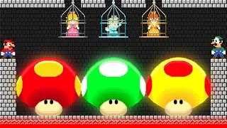 Mario and Luigi Co-Op Save All the Princesses in New Super Mario Bros. Wii!
