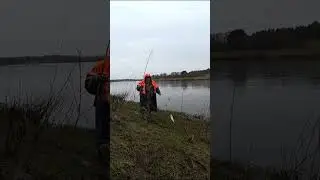 Дуплет 