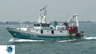 LUIGINO PELÀ, DIRETTORE DEL MERCATO ITTICO DI PILA, SIAMO AL LUMICINO, ORA RISCHIAMO ...