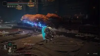 Red Wolf of Radagon Boss Fight | Elden Ring