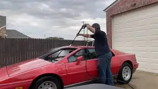 Lotus project intro and first wash