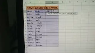 How to insert mr./miss in name 