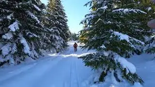 ЗИМОВІ  КАРПАТИ