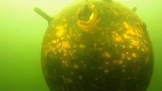 Новый полигон клуба Pro Diving