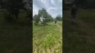Bunga Musangking Meledak!! Di kebun durian Traveler