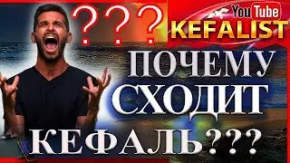 КАК ИСКЛЮЧИТЬ СХОД РЫБЫ  -  КЕФАЛЬ, почему сходит рыба - кефаль,  что делать чтоб рыба не сошла