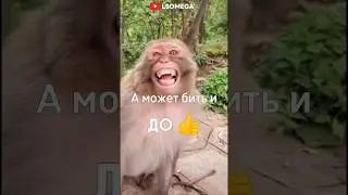 ДА ИЛИ НЕТ 😳 