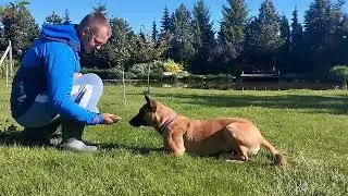 na obi poradzi jedynie kiełba swojskiej roboty