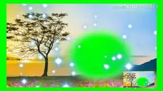 green screen twinkling light effect
