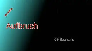 NIC AIMVIL - Euphorie