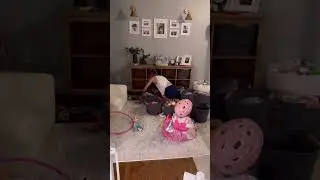 House Reset