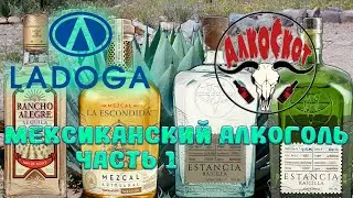 Обзор мексиканского алкоголя: часть 1